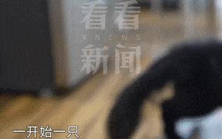 DƬ